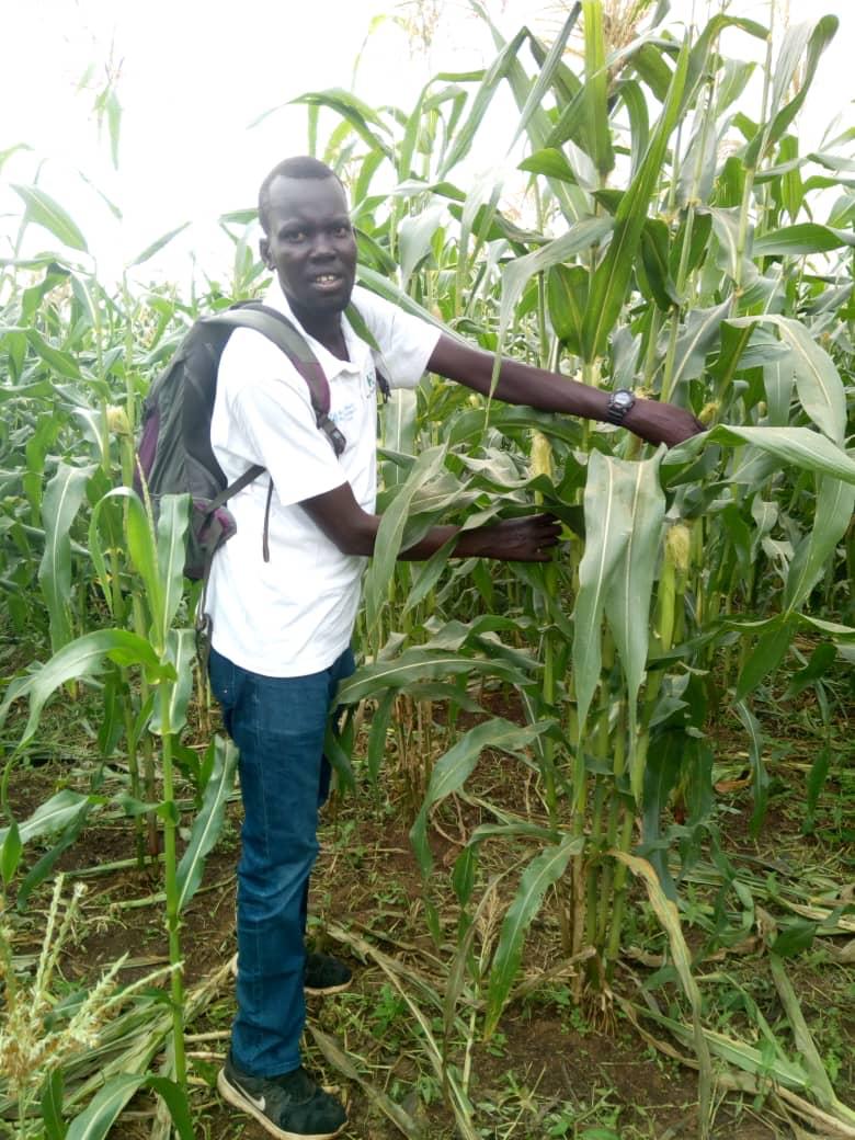 Food Security AHC